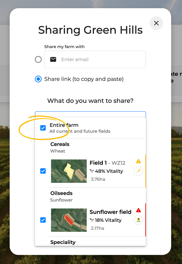 decide-on-sharing-settings.jpg
